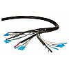 Features: - Factory terminated vendor specified connections - Fan-out Shrink adhesive tube IP68 - Ca...