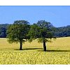 - Les peintures utilisées sont les plus favorables pour l'environnement .- Notre propre station d'ép...