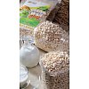 *Net Weight : 90g/70g *Packing Unit : 20 units/box *Best before 9 months from the date of manufactur...