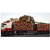 - Le transport de bois10 plateaux-grues : utilisés pour le transport de bois rond (rondins, poteaux…...