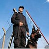 Agent cynophile ou Maitre Chien