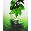We M/s. Global Merchants based in Mumbai, India are Manufacturers and Exporters for01. 100% Pure &am...
